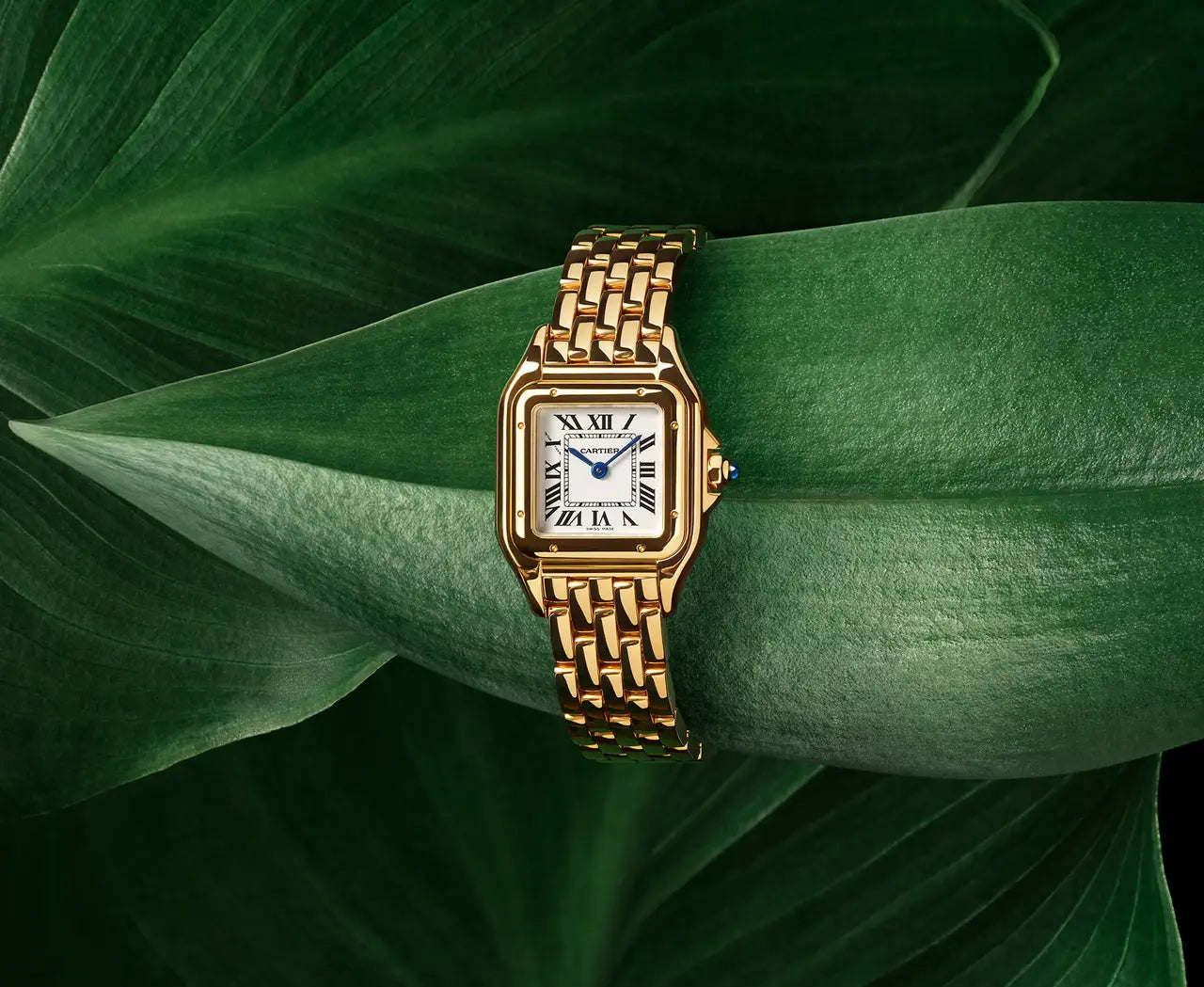 Panthère de Cartier