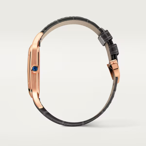 Cartier Santos de Cartier XL Ekskluzywne Zegarki