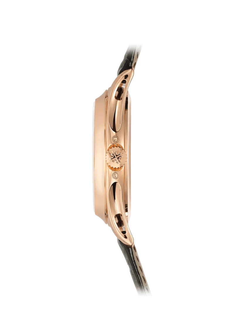 Patek Philippe Complications Ekskluzywne Zegarki