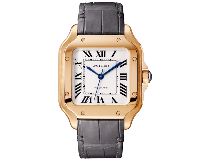 Cartier Santos de Cartier Medium Automatic