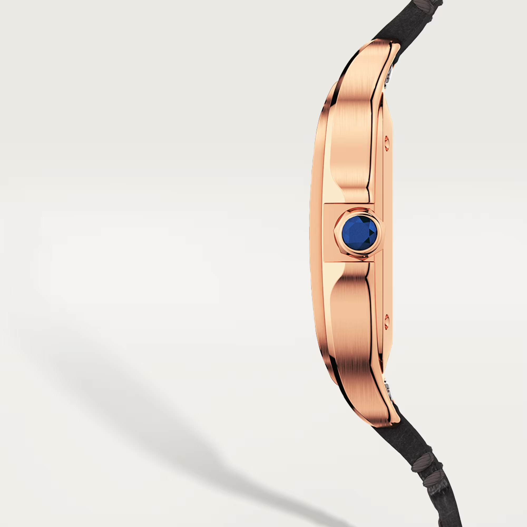 Cartier Santos de Cartier Ekskluzywne Zegarki